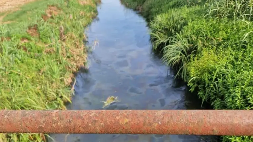 Le chiazze di idrocarburi sul Rio Borghetto a San Martino di Lupari