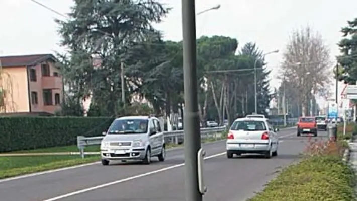 ALBERI TAGLIATI CASELLE BARSOTTI
