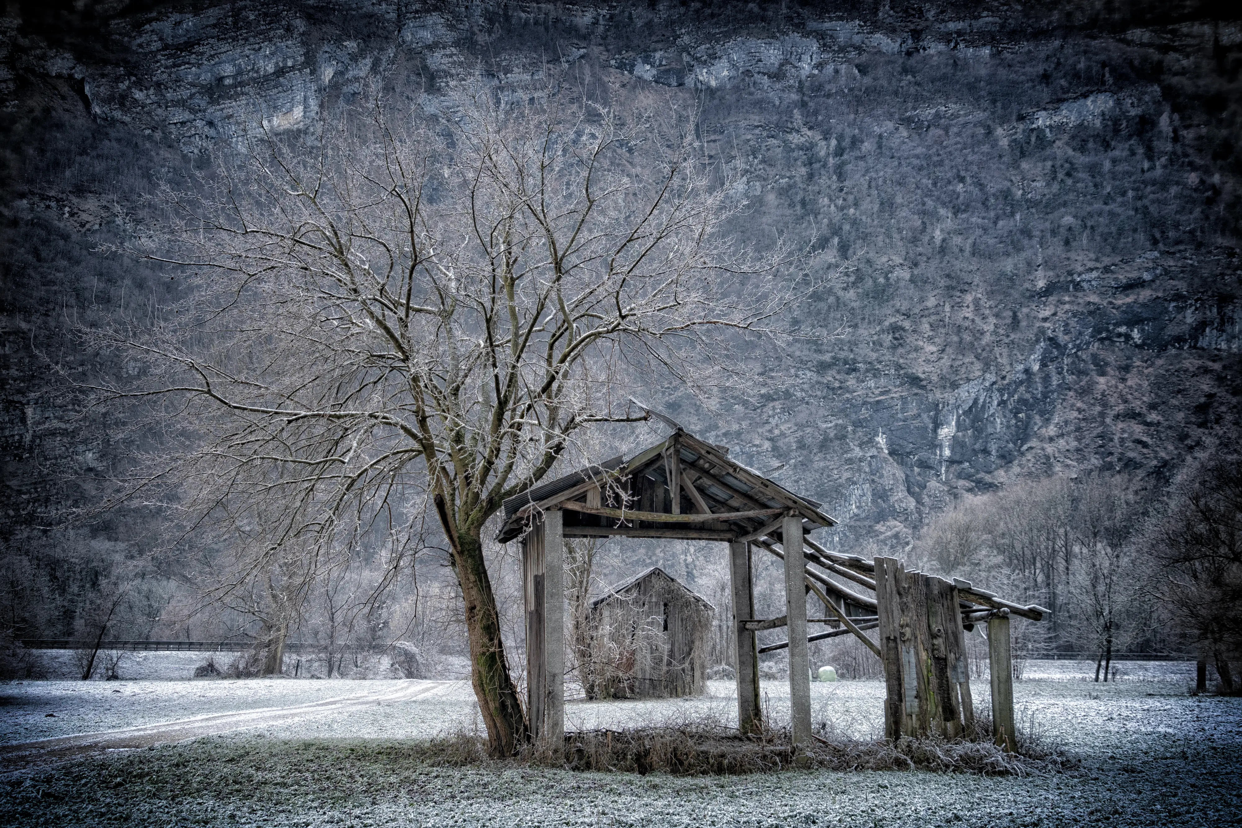 © Adriano Boscato
