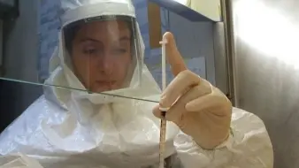 A fianco uno dei laboratori dell’istituto Zooprofilattico In basso, reparto di terapia intensiva dove è ricoverata la donna malata di influenza suina
