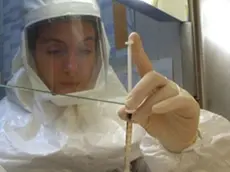 A fianco uno dei laboratori dell’istituto Zooprofilattico In basso, reparto di terapia intensiva dove è ricoverata la donna malata di influenza suina