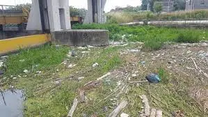 La chiusa Torretta sul Canal Bianco in comune di Legnago, oberata di rifiuti