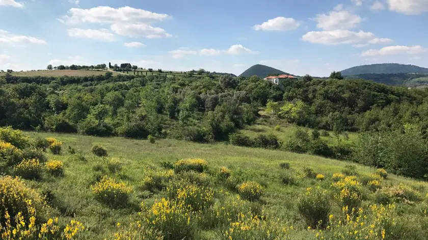 Vegro del Monte Cecilia a Baone