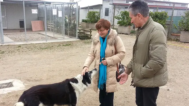 Merlara, 18 Feb 14 Danni per allagamento al parco Zoofilo Val di Maso. Nella foto: Gianfranco Canton, presidente del canile (a destra) e Claudia Corradin, sindaco, accarezzano Beethoven, la mascotte del canile ph. Zangirolami
