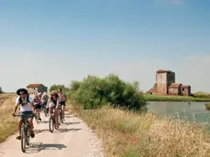 In bici sugli argini del Po
