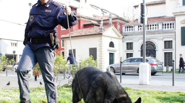 Unità cinofila della polizia controlla la zona del piazzale Donatori di Sangue, Mestre