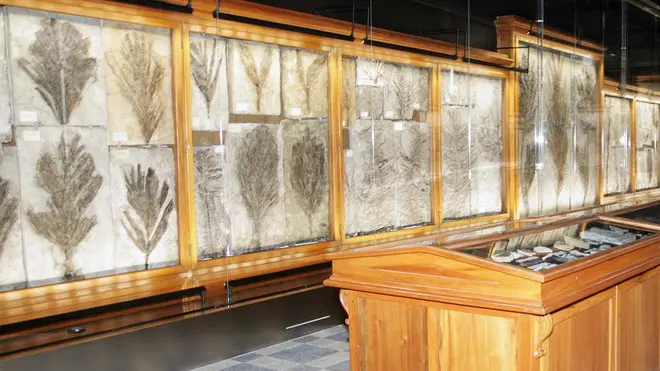 CARRAI - ESPOSIZIONE A PALAZZO CAVALLI CARRAI - ESPOSIZIONE A PALAZZO CAVALLI
