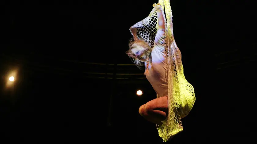 Acrobati impegnati in geometrie aeree