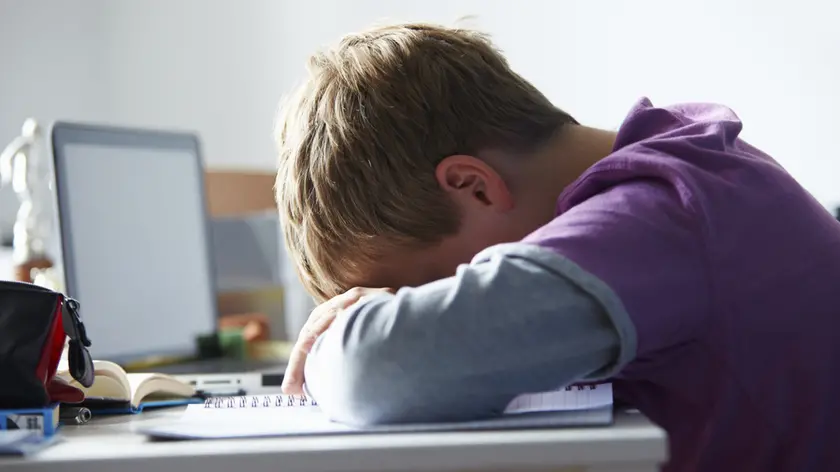 Tired Boy Studying In Bedroom