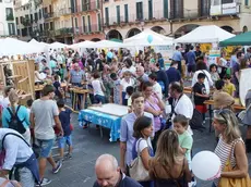 MARIAN - AGENZIA BIANCHI - PADOVA - PIAZZA SIGNORI, ASSOCIAZIONI AMBIENTALISTE