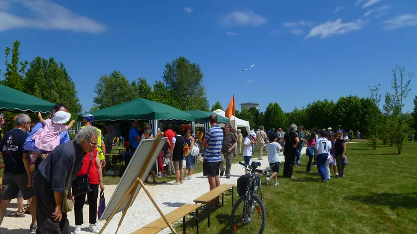 Padova, il Campo dei Girasoli
