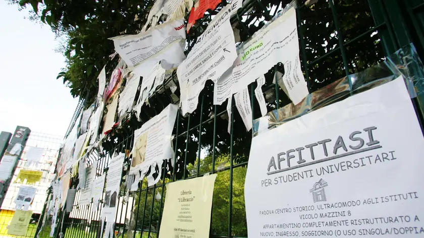 Annunci di alloggi in affitto: oggi il mercato si è spostato soprattutto in rete. Ma le truffe sono frequenti