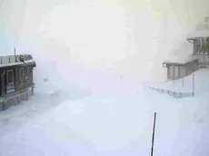 Pieno inverno a passo dello Stelvio il giorno della 16/a tappa del Giro d'Italia. A causa dell'alto rischio valanghe e per salvaguardare la sicurezza della Carovana Rosa la Cima Coppi è infatti traslocata a Giogo di Santa Maria, a quota 2489 metri. Decisione saggia, come confermano le immagini delle webcam: sul passo a 2757 metri attualmente sta nevicando e la strada, sulla quale dovevano passare i ciclista, è coperta da uno spesso strato di neve. La tappa odierna è di alta montagna ma viene spezzata dalla valle dell'Adige e dell'Isarco che la rendono composta da tre parti: montagna, con Foscagno e Giogo di Santa Maria, la Cima Coppi, pianura, da Glorenza fino a poco dopo Bolzano e di nuovo montagna, con la salita di Passo Pinei e il finale in Val Gardena dopo Santa Cristina. Dal Giogo di Santa Maria (Umbrailpass) a Tubre si percorrono 18 chilometri in territorio Elvetico. ANSA/ webcam popso.it ANSA PROVIDES ACCESS TO THIS HANDOUT PHOTO TO BE USED SOLELY TO ILLUSTRATE NEWS REPORTING OR COMMENTARY ON THE FACTS OR EVENTS DEPICTED IN THIS IMAGE; NO ARCHIVING; NO LICENSING NPK