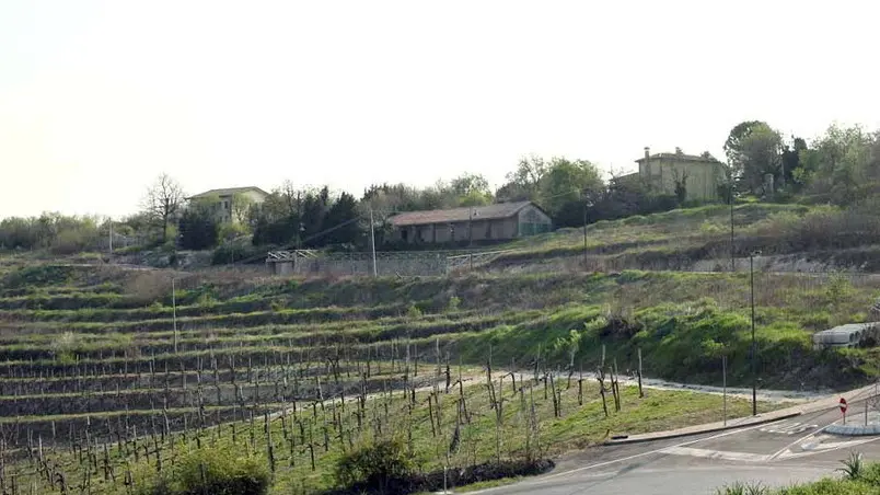 BELLUCO SASSONEGRO ARQUA' BELLUCO SASSONEGRO ARQUA'