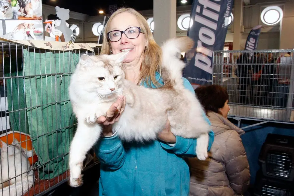 MARIAN - AGENZIA BIANCHI - PADOVA - FIERA DEI GATTI