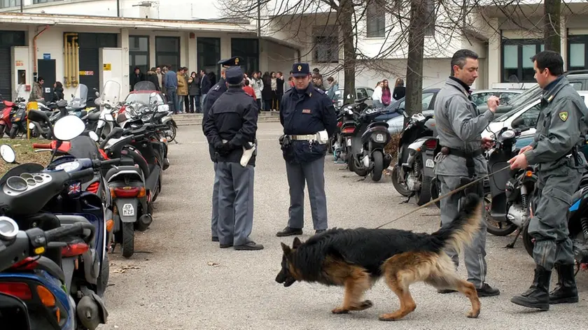 PD 13 febbraio 2004 G.M. Controlli della Polizia Cinofila al liceo Curiel. (CARRAI) Controlli della Polizia Cinofila al liceo Curiel - CARRAI