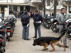 PD 13 febbraio 2004 G.M. Controlli della Polizia Cinofila al liceo Curiel. (CARRAI) Controlli della Polizia Cinofila al liceo Curiel - CARRAI