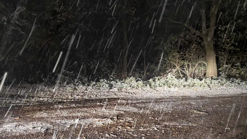 Fiocca la neve sui Colli Euganei (foto del tour operator Trekkin2thewild - Nature Travel)