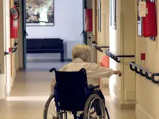 CARRAI - SINIGAGLIA ALLA FONDAZIONE BREDA CARRAI - SINIGAGLIA ALLA FONDAZIONE BREDA