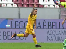 Barsotti foto er reggina cittadella esultanza vita