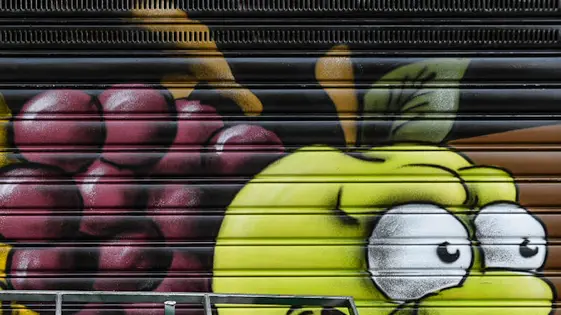 MARIAN-AGENZIA BIANCHI-PADOVA-MURALES SARACINESCHE NEGOZI DI VIA SOGRAFI