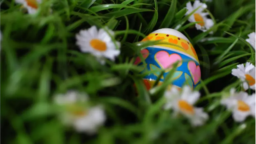 Caccia alle uova ma anche caccia al tesoro botanico a Pasquetta