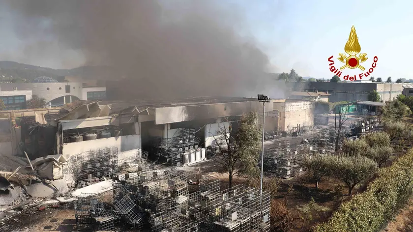 L'incendio di vaste proporzioni si è sviluppato in tarda mattinata in un'azienda di vernici in via di spegnimeto a Brendola, in provincia di Vicenza, 1 luglio 2019. ANSA/VIGILI DEL FUOCO EDITORIAL USE ONLY NO SALES