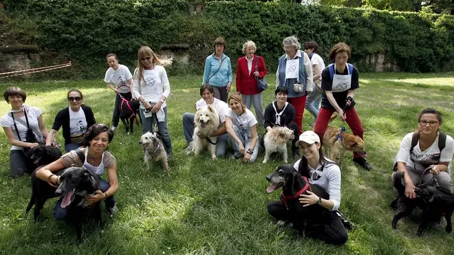 ZANETTI - CANI AI GIARDINI ARENA