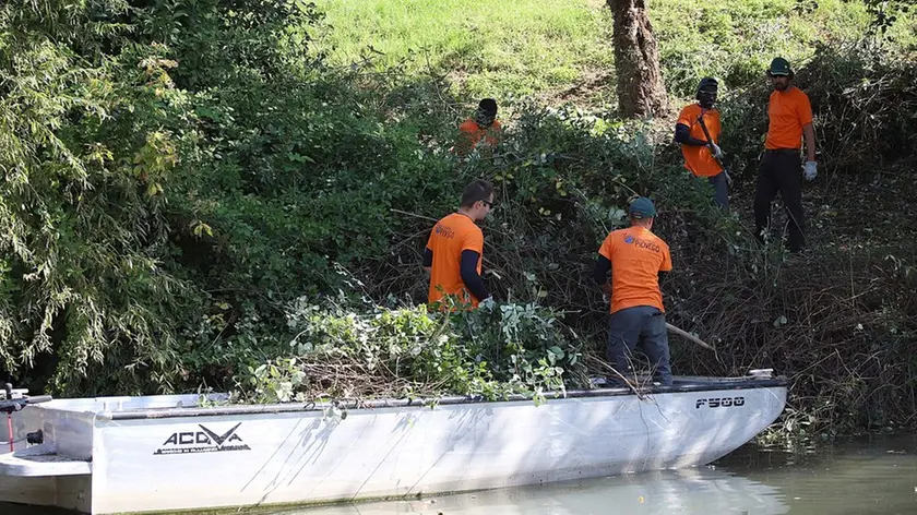 MARIAN - AGENZIA BIANCHI - PADOVA - PULIZIA ARGINI AMISSI DEL PIOVEGO E COOP PIOVEGO