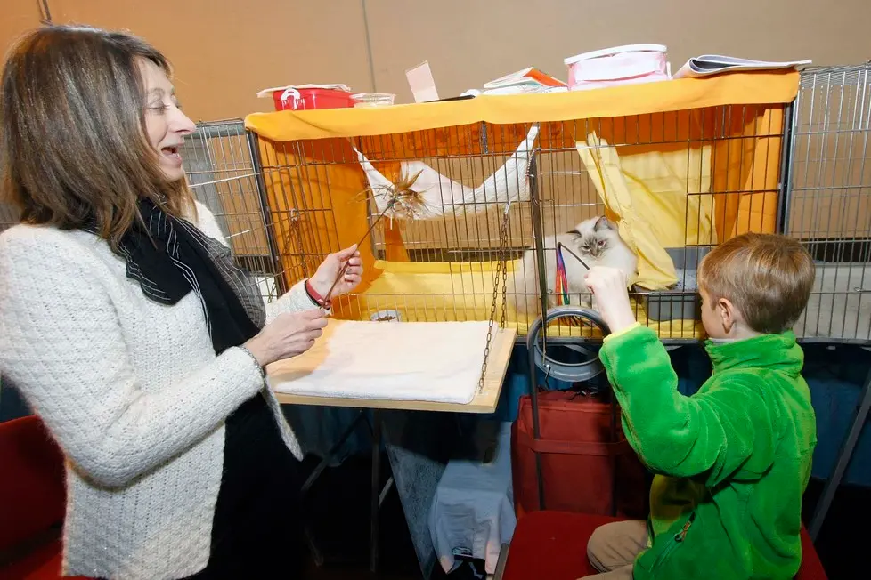 MARIAN - AGENZIA BIANCHI - PADOVA - FIERA DEI GATTI