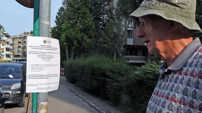 MARIAN - AGENZIA BIANCHI - PADOVA - DISINFESTAZIONE VIA LOVARINI VIA VERONESE