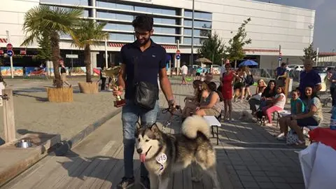 Wolf, il cane vincitore