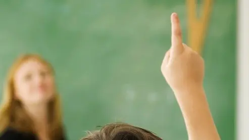 Elementary student raising hand in class, rear view --- Image by © Michele Constantini/PhotoAlto/Corbis