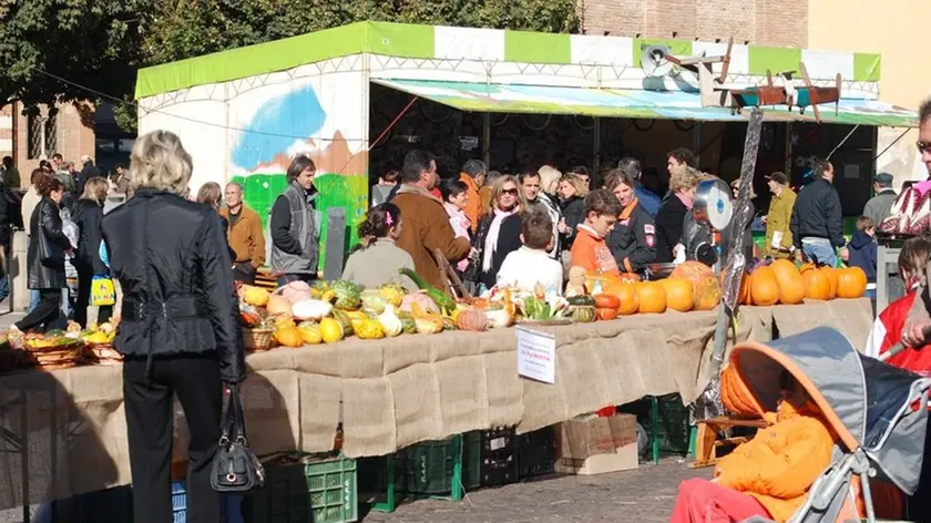 MALAGOLI FESTA DELLA ZUCCA PIOVE MALAGOLI FESTA DELLA ZUCCA E INTERVISTE PIOVE
