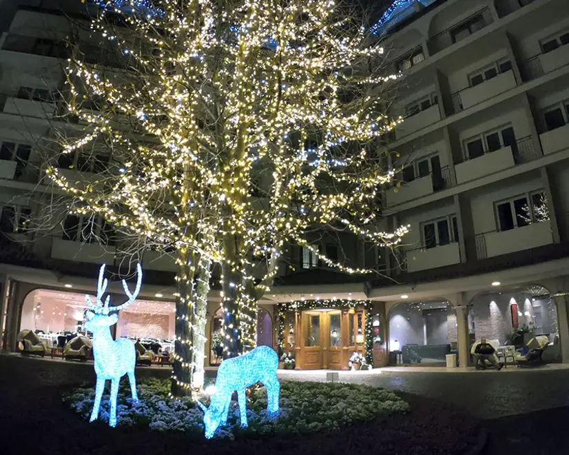 POLETTO-FOTOPIRAN-MONTEGROTTO TERME-LUMINARIE HOTEL MIRAMONTI