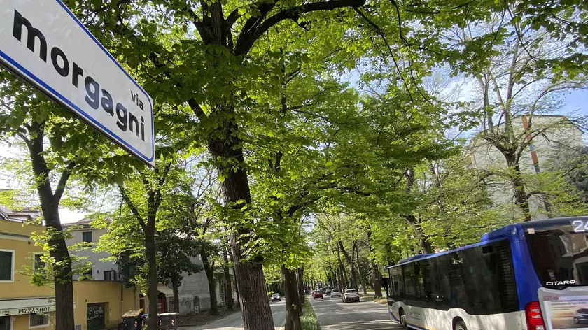 Via Morgagni dove partiranno i cantieri del tram