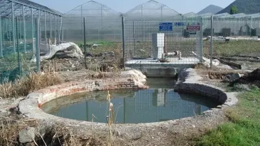 UNA VASCA A VAL CALAONA L’acqua calda era usata per le serre