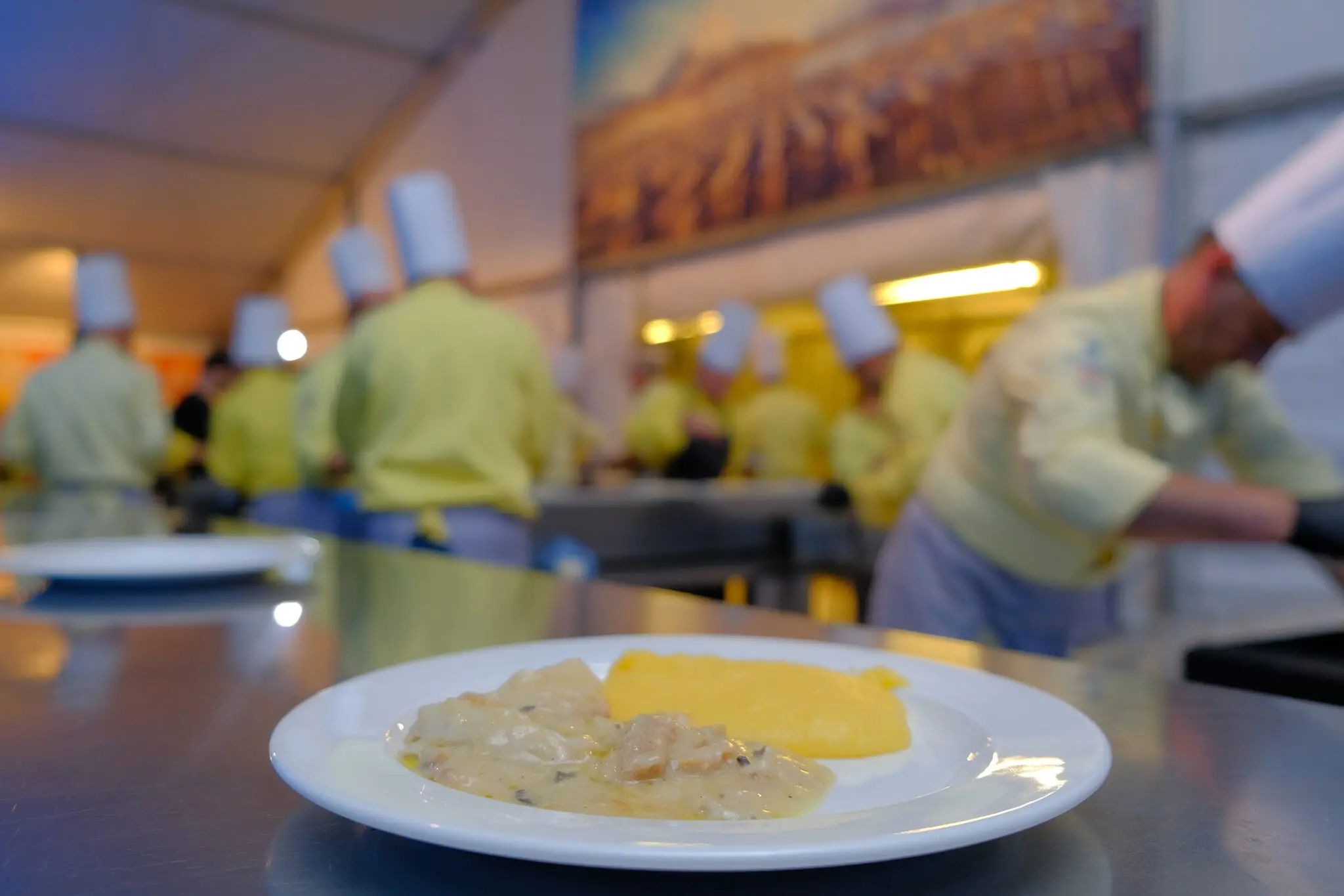 Le ultime due settimane di settembre le strade di Sandrigo (Vicenza) si vestiranno dei colori della bandiera norvegese per ospitare la 35esima edizione della Festa del bacalà alla Vicentina. Nelle foto, il Gran Galà del Bacalà ha anticipato l’apertura degli stand che saranno attivi dal 15 al 18 e dal 22 al 26 settembre nelle piazze del paese dove, oltre al tradizionale piatto, si potranno gustare molte altre ricette tradizionali e innovative a base di bacalà