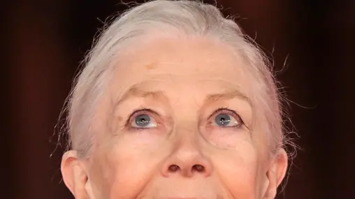 02/11/2017 Roma, Festa del Cinema di Roma, red Carpet del film Stronger, nella foto Vanessa Redgrave con il figlio