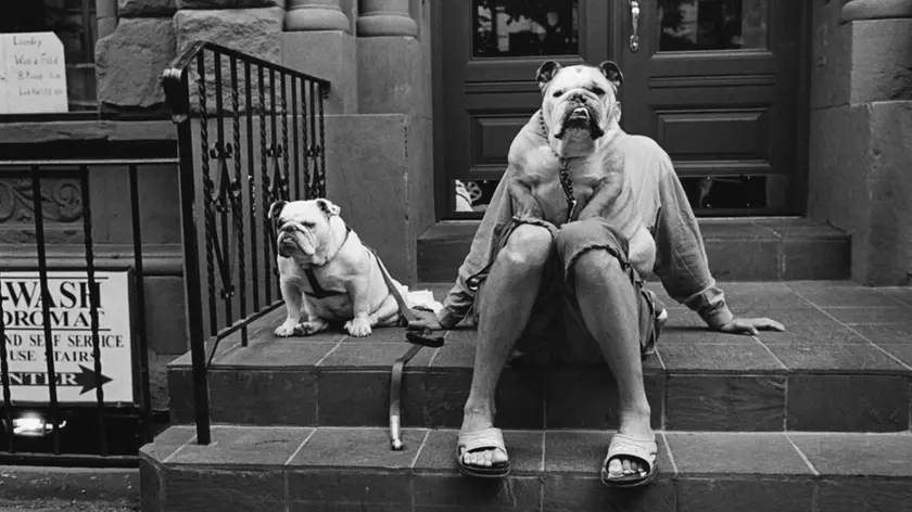 © Eliott Erwitt / Magnum Photos