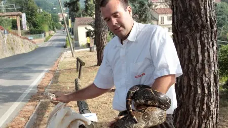 Daniele De Rosa con il boa trovato in strada a Teolo