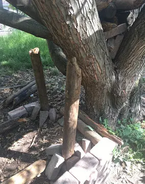 Spuntoni pericolosi al parco dei Gelsi