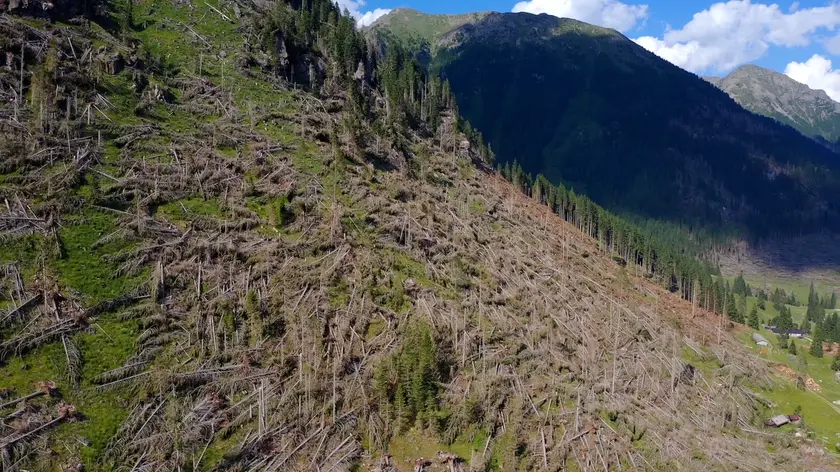 Uno dei versanti delle nostre montagne spogliato dei boschi dalla furia di Vaia (foto vaiawood.eu)