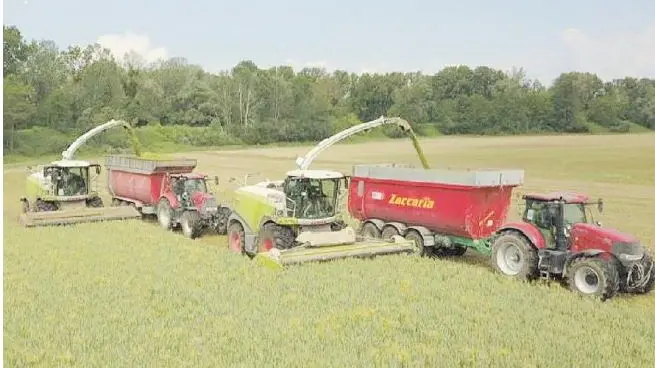 Un’azienda agricola impegnata in una fase di raccolta