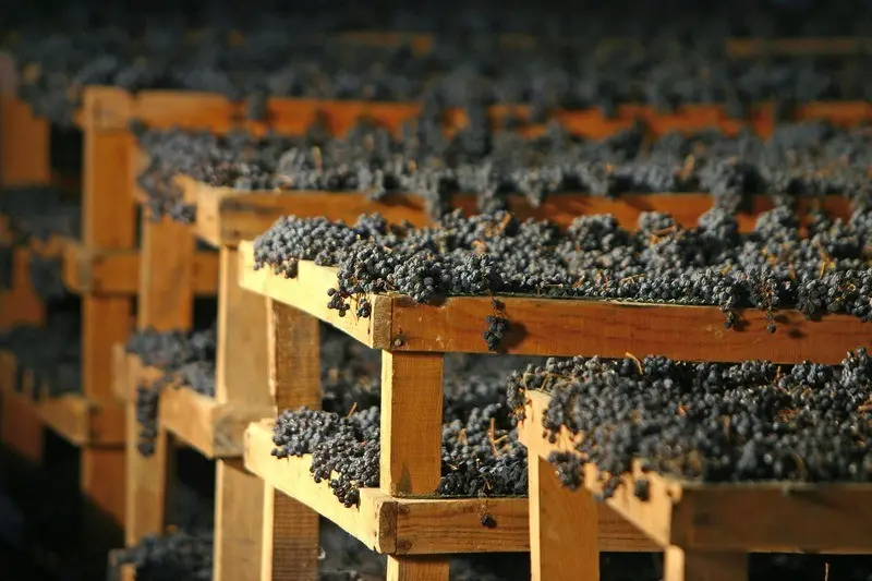I graticci per passire le uve destinate all'Amarone