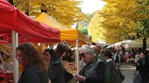 SAGRA. La fiera di Noventa