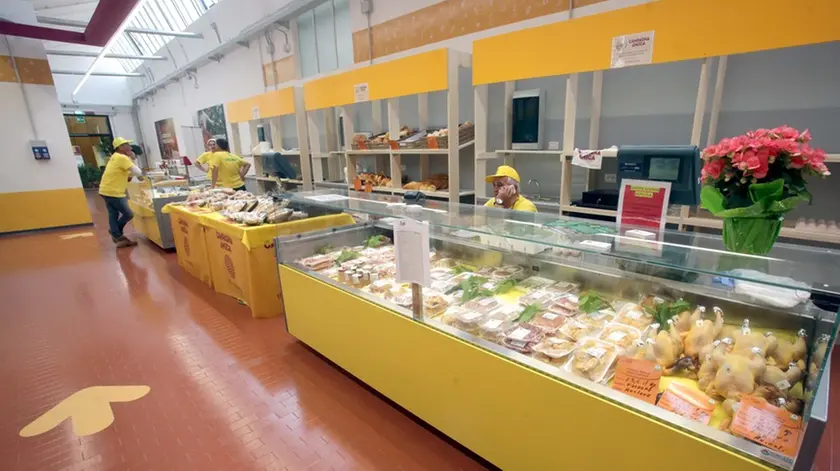 MARIAN - AGENZIA BIANCHI - PADOVA - INAUGURAZIONE MERCATO COLDIRETTI VIA VICENZA