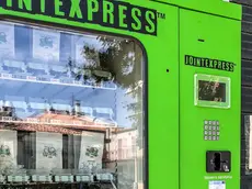 MARIAN-AGENZIA BIANCHI-PADOVA-CARTELLO E DISTRIBUTORE MARIJUANA LEGALE VA SCINTILLA