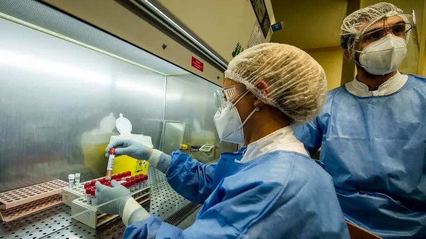 20/04/2020 Roma, emergenza coronavirus, il laboratorio di Microbiologia e Virologia dellÕOspedale San Filippo Neri della ASL RM1 che si occupa delle analisi sui tamponi e sullÕestrazione del RNA di Covid19. Nella foto Medici Biologi e Tecnici di Laboratorio a lavoro sui tamponi Covid19