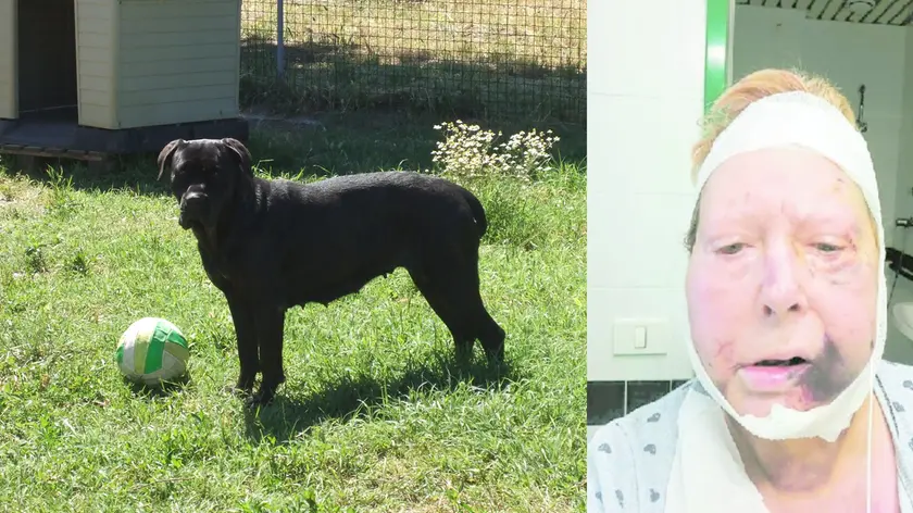 Un cane corso e Laura Bottaro